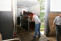 img_1187.JPG