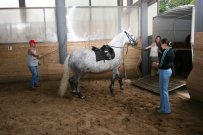 img_1192.JPG