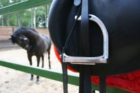 img_1083.JPG